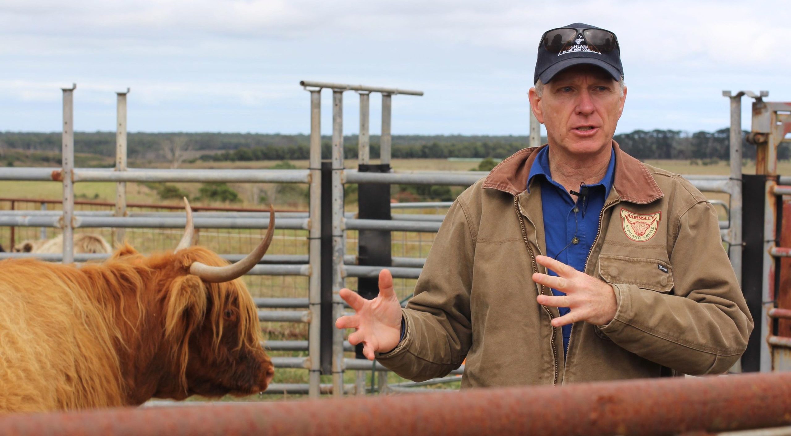 Glen Hastie discussing cattle structure at SW Victoria field days 2023